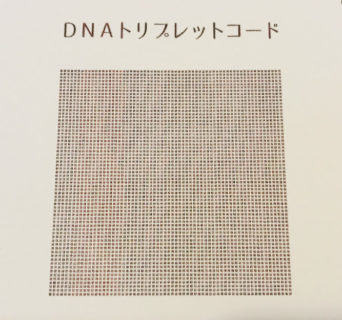 カタカムナ、龍体文字にはまる