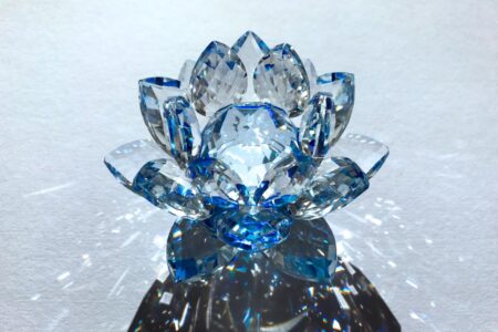 Blue Lotusは7年目に入りました