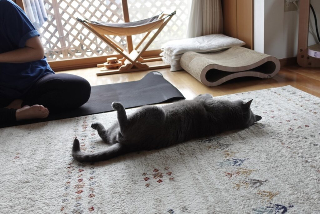人と比べることは悪いことじゃない