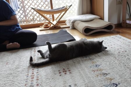人と比べることは悪いことじゃない