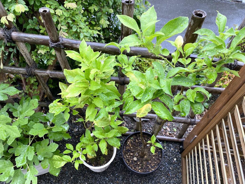 自作ホームページのトラブル対応の仕方