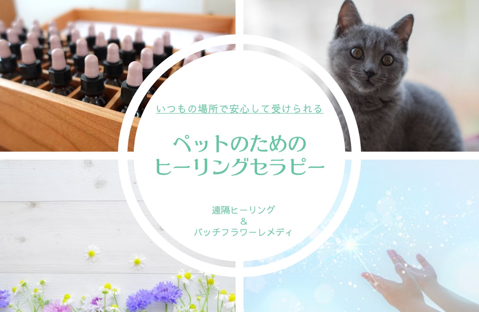 ペットの遠隔ヒーリング＜定期4回コース＞のご案内