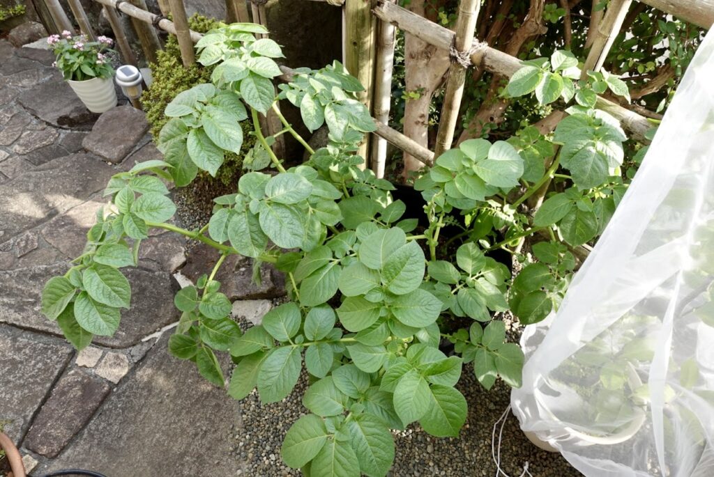 なんてことのない日常の中にこそ