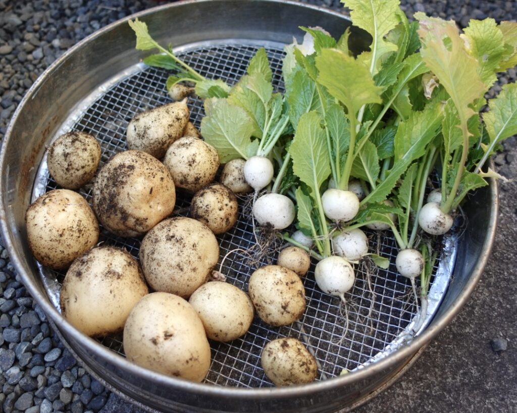 2025年も残すところあとわずか～ 来年も無理せず自分らしくやっていきます～