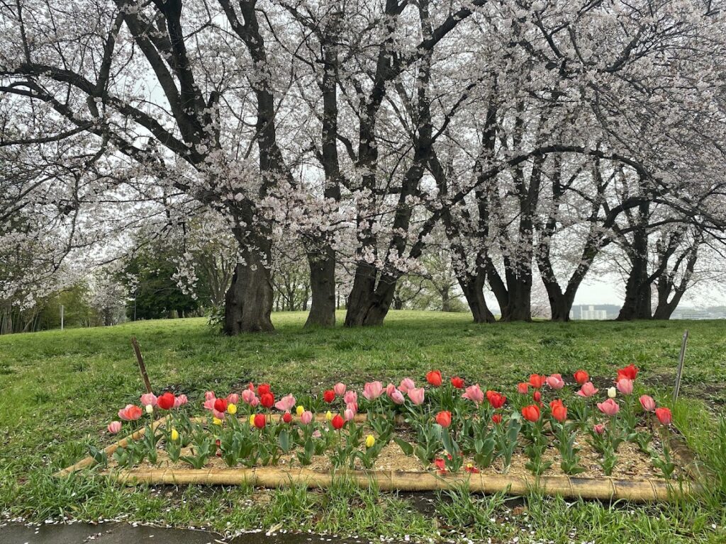 AIによってシステムエンジニアは要らなくなる時代