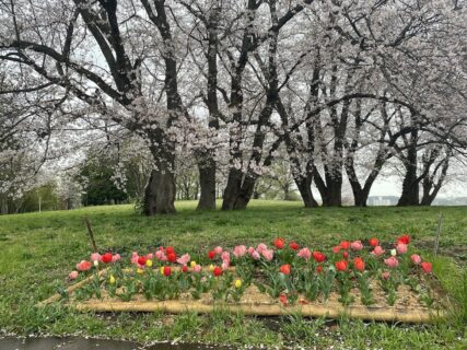AIによってシステムエンジニアは要らなくなる時代